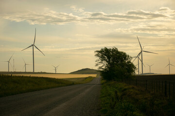 wind turbines in the sunset