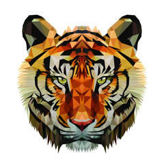 Tiger head. Polygonal illustration. Isolated on a white background.