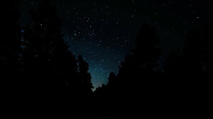 Fototapeta na wymiar Night sky, Grand Canyon, Arizona