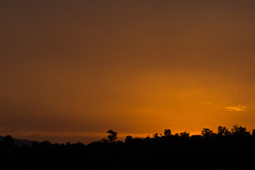 Sunset landscape photo of complete yellow sky and trees