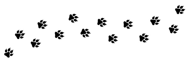 Paw print icon. dog footprint, animal tracks on a white isolated background.