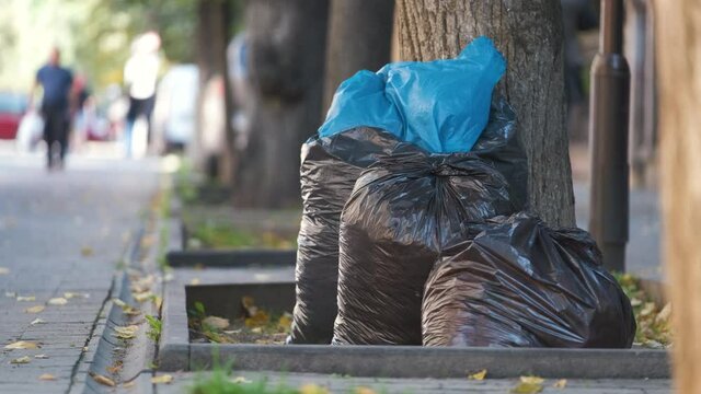 Pile of black garbage bags full of litter left for pick up on street side. Trash disposal concept