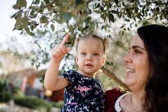 Mom & Daughter Under Tree in California