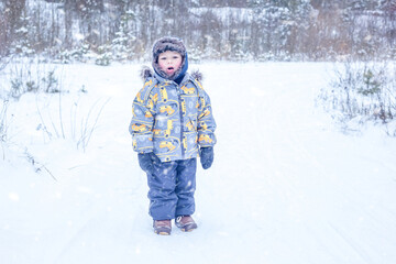 Fototapeta na wymiar A boy in warm clothes stands in the middle of a winter forest
