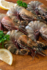 fresh tiger prawn or shrimp