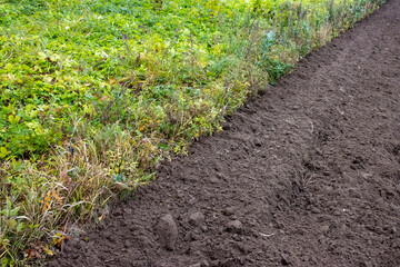 Plowed field on the border with green grass, farmland on the farm
