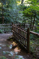Fototapeta na wymiar traditional town view in Japan.nature,house,garden.