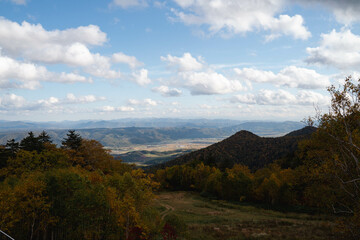 Furano city area and autumn leaves