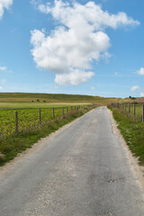 Road in the countryside