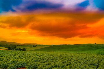 美瑛町の自然と夕暮れ
