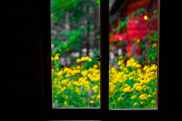 窓から見える菜の花畑（森の中の家）