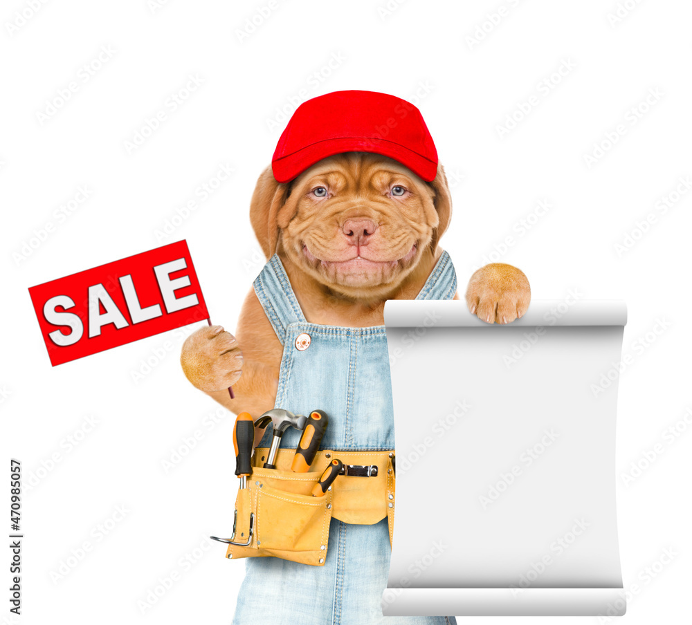 Poster Funny mastiff puppy worker wearing red cap and tool belt and overalls holds sales symbol and empty list. Isolated on white background