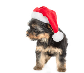 Yorkshire terrier puppy wearing a red christmas hat stands and looks away on empty space. isolated on white background