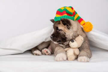 Cute American akita puppy wearing warm hat hugs toy bear under warm blanket on the bed at home and looks away on empty space