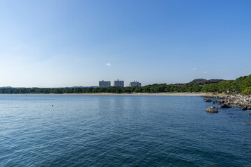 神奈川県横浜市金沢区の海の公園