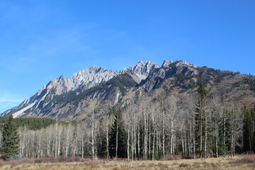 autumn in the mountains, Banff National Park, Alberta