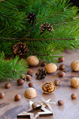 Fototapeta na wymiar Walnuts, hazelnuts and spruce branches