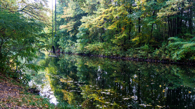 Eiche mit einer Schaukel an der Elde in der Herbstsaison
