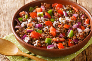 Delicious fresh green lentil salad with tomatoes, onions and chili peppers close-up in a plate on the table. horizontal