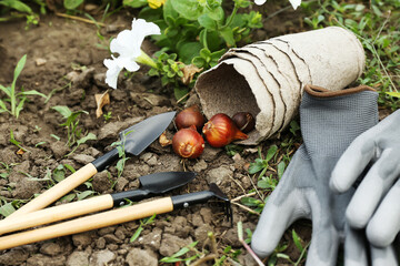 Gardening tools on soil outdoors
