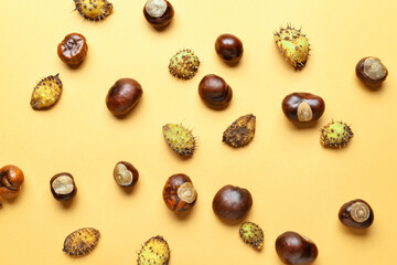 Chestnuts with prickly peel on color background