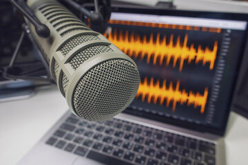 Professional microphone and wave form on the screen