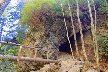 cave in the woods