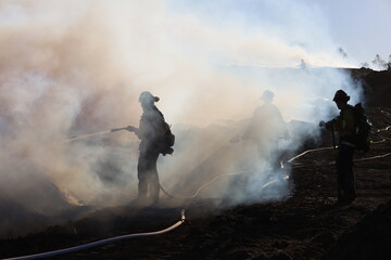Firefighter(s) in action battling a brush fire