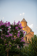 Naklejka premium in the park with myrtle Metekhi temple in tbilisi in Georgia