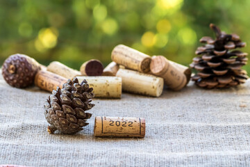 Wine corks and pine cones