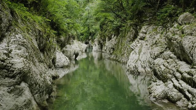Caucasus. Khosta river. Flight through the Devil's gate canyon. The area of yew-boxwood grove.
