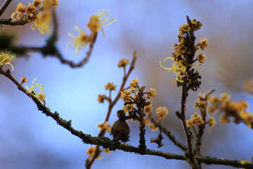 Beautiful autumn landscape with colorful foliage in the park.