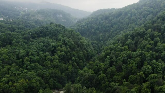 Caucasus. Khosta river. Flight through the Devil's gate canyon. The area of yew-boxwood grove.