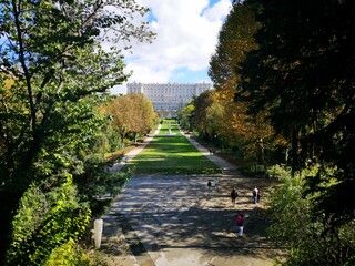 Fototapety na wymiar - Fototapeta24.pl