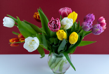 Mix of spring tulips flowers. Bouquet in a vase. Multi-colored spring flower. Gift. Red, pink, white and yellow. Background with flowers tulips close-up different colors.