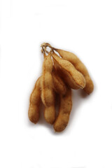 Dry brown Soybean pods on branch isolated on white background. Glycine max 