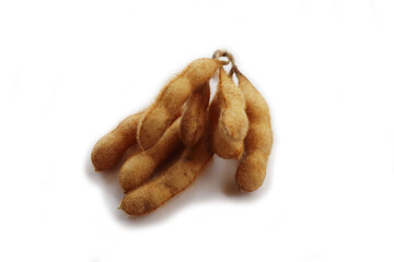 Dry brown Soybean pods on branch isolated on white background. Glycine max 