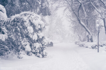 Obraz premium View of a city street covered in snow during heavy snowfall with fallen trees. Storm Filomena in Madrid. Arturo Soria area