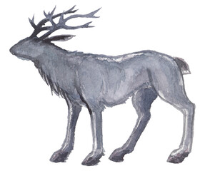 Watercolor drawing of blue gray silhouette of christmas deer isolated on white background