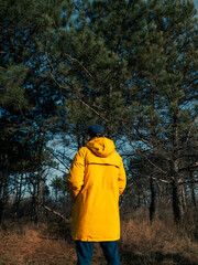 Traveler man in yellow coat walking in fall pine forest sunny weather back view faceless. Authentic male tourist lifestyle. Hipster guy outdoor Solo travel adventure concept Active walking backpacking