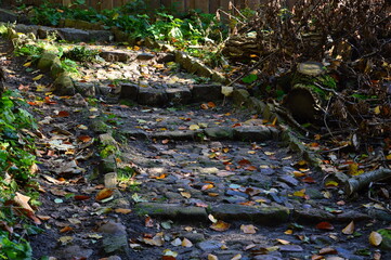 Herbst im Tal des Fluss Fulde, Walsrode, Niedersachsen