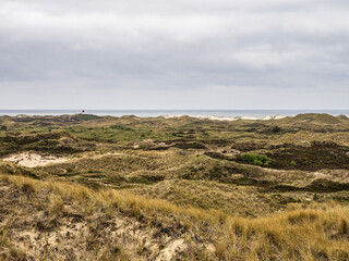 Sand dune landscape overgrown with grass on the island of Amrum, Germany. Siatler or Setzer Dune