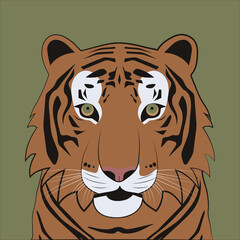 Tiger head vector illustration