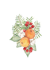 Watercolor citrus Christmas composition with red berries, green leaves on white background