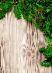 Christmas Background with Spruce Branch