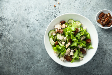 Green salad with chicken, pecan and sun dried tomatoes