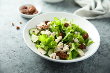 Green salad with chicken, pecan and sun dried tomatoes