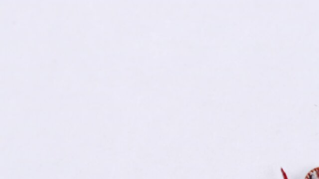 Adult tick crawling on white background. Tick causing lyme desease and borreliosis.