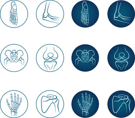 Anatomical orthopedic medical vector icon set pack