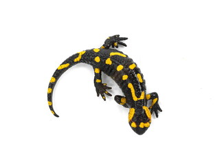 The fire salamander isolated on white background